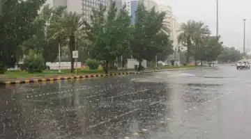 أجواء غير مستقرة في السعودية أمطار رعدية وضباب الرؤية في عدة مناطق