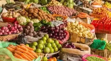أسعار الخضراوات في سوق العبور اليوم استفد من الفرص واشتري ما تشتهي