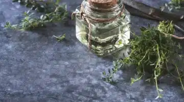 الزعتر العشبة السحرية التي تحافظ على صحتك بعد الـ70