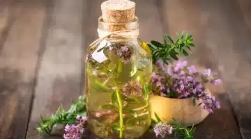 الزعتركنز طبيعي مطبخك لتعزيز الذاكرة وصحة العظام والمفاصل