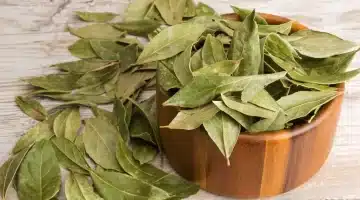 السر وصفة ورق الغار لوداع الكرش في 3 أيام