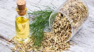 الشمر العشبة التي تُحارب الكرش دون حمية صارمة
