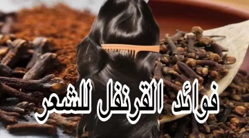 القرنفل السر الخفي لشعر طويل وكثيف كشعر الهنود بدون مواد كيميائية 2 1