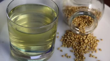 الكزبرة سر طبيعي لموازنة السكر وحماية الكلى