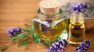 اللافندرالعشبة التي هزّت عالم الطب البديل وتحدت المسكنات الكيميائية