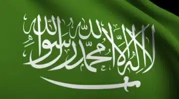 المهن المسعودة3