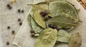 حرق ورق الغار ليلة كنز رباني قد يغير حياتك في أسبوع