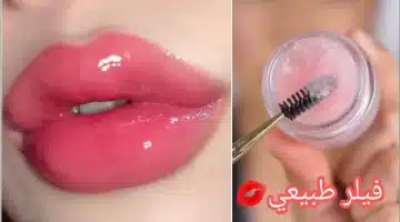 زيت النعناع كِ الطبيعي لتكبير الشفاه وجمال لا يقاوم