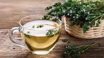 سر الشباب الدائم في بيتك عشبة سحرية لا يعرف قيمتها أحد تعيدك شابًا حتى لو كنت في السبعين 1