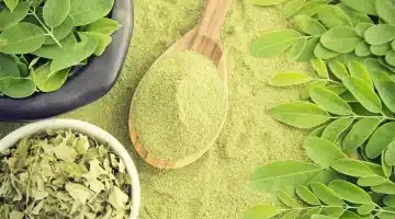 عشبة المورينج المنسي الذي يمنحك الصحة بلا تكاليف