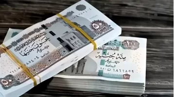 منحة رمضان للعمالة غير المنتظمة – دعم بقيمة 1000 جنيه