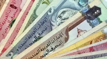100 درهم إماراتي كم جنيه مصري في السوق السوداء 1