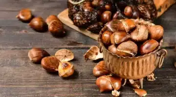 أسرار غير معروفة أوراق الكستناء كنز طبيعي لصحتك 1 1