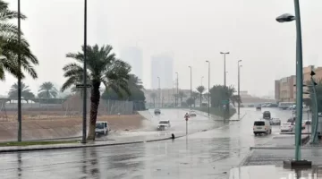 أمطار الخير تُنعش أجواء المملكة حالة مطرية غزيرة تبدأ في رمضان وتشمل عدة مناطق