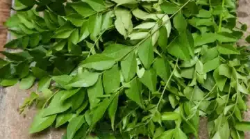 أوراق الكاري طبيعي لمواجهة السكري في رمضان وخارجه 1
