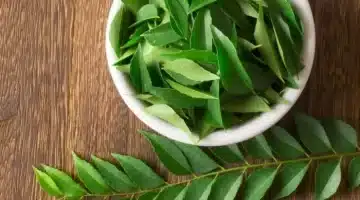 أوراق الكاري طبيعي لمواجهة السكري وإنقاص الوزن