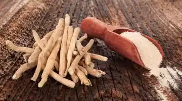 الأشواجندا السر الطبيعي لتعزيز الذاكرة ومحاربة الأمراض