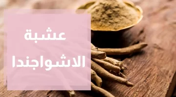 الأشواجندا العشبة الذهبية التي تُحيي العقل وتُطيل العمر