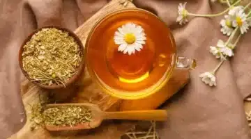 البابونج المصري فرعوني ذهبي بفوائد لا تُحصى للصحة والجمال