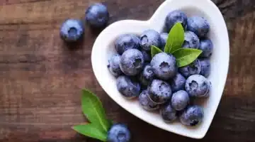 التوت الأزرق الفاكهة الجبارة لصحة