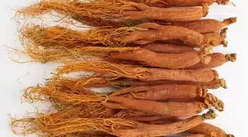 الجينسنغ الأحمر الكوري كنز طبيعي لصحة المخ وتأخير الشيخوخة هل يصبح بديلًا للعلاجات الحديثة؟