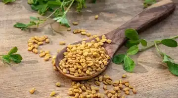 الحلبة سر طبيعي لمواجهة السكري وحصوات الكلى وأمراض العصر 2