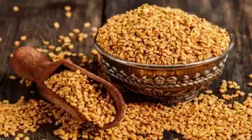 الحلبةعشبة ذهبية تعيد الأمل لمرضى السكري صحة الجسم 1