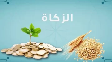 الزكاة تحدد قيمة زكاة الفطر عن كل فرد في السعودية لعام 1446 2025 وطرق دفعها