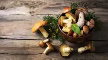 الفطر يكون الحل الثوري للوقاية من مضاعفات الإنفلونزا. دراسة تكشف السر