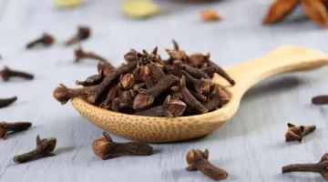 القرنفل كنز طبيعي يُعيد تعريف مفهوم العناية الصحية 1