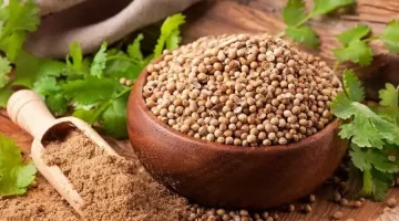 الكزبرة كنز صحي مطبخك لمحاربة الحصوات وتنظيم السكر 1