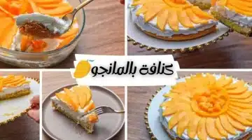 الكنافة بالمانجو وصفة لتحضيرها في المنزل بمذاق يفوق الخيال