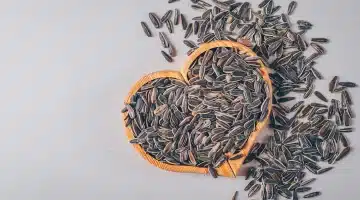 اللب السوري كنز صحي قد تغفله في نظامك الغذائي