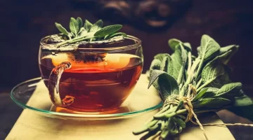 المريمية الحمراء كنز صحي في منزلك يكافح الشيخوخة ويقوي العظام 1
