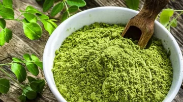المورينجا صيدلية الطبيعة الشاملة لمواجهة 40 مرضًا وتحسين جودة الحياة