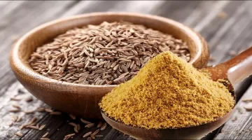 اليانسون العشبة السحرية التي ستغير مفهومك العلاجات المنزلية 1