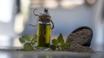 باكوبا مونيري العشبة السحرية لتعزيز الذكاء وتحسين الذاكرة طبيعي