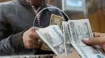 بشرة سارة لكل المعلمين في مصر. زيادة 8000 جنيه لأعضاء نقابة المعلمين بداية من 2025