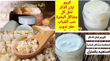تجربة سعودية تثير الجدل كيف حوّلت دراسة حديثة لبان الدكر إلى سرّ جمالي مفاجئ؟