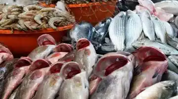 تحديث فوري لأسعار الأسماك اليوم في الأسواق المحلية 2