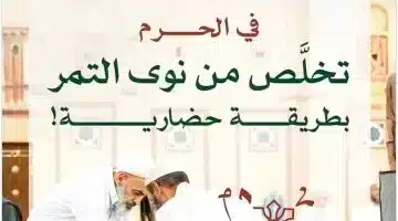 تحرك عاجل من شؤون الحرمين للتخلص من نوى التمر في المسجد الحرام والمسجد النبوي