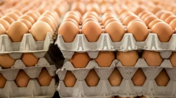 تعرف على أسعار كرتونة البيض والدواجن اليوم الجمعة 21 مارس 2025 في رمضان