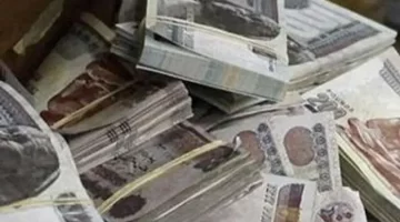 جدول التأمينات الاجتماعية في مصر 2025. موعد صرف المعاشات وزيادة يوليو المرتقبة