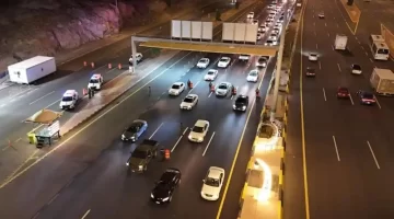 حادثة غير متوقعة على طريق الحرمين نعامة هاربة توقف الحركة المرورية ورجال المرور يتدخلون باحترافية