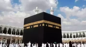 دليل التقديم الوظائف الموسمية لحج 1446 الشروط والخطوات والتخصصات 1