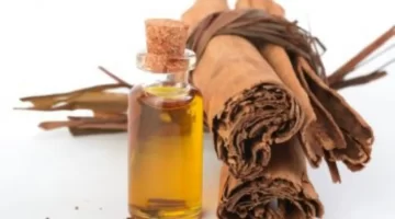 سرّ البشرة الشابة خلطة زيت الزيتون والقرفة لاستعادة نضارة