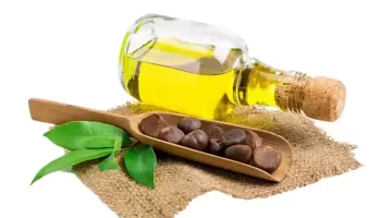 سرّ الزيت السحري الذي يوحّد لون بشرتك قبل العيد