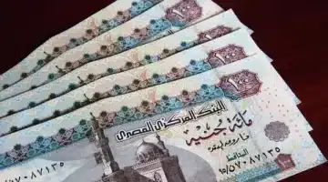 شروط وطريقة التسجيل في منحة رمضان للعمالة غير المنتظمة 1000 جنيه لعام 2025