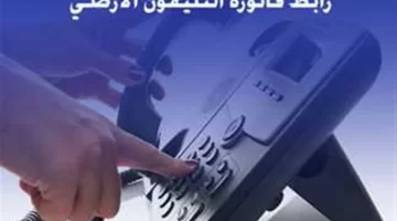 طريقة سريعة للاستعلام ودفع فاتورة التليفون الأرضي لشهر مارس 2025 إلكترونيًا