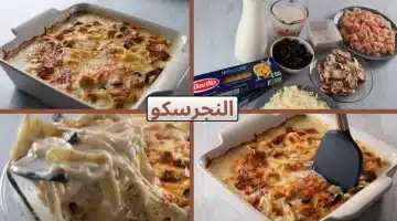 طريقة عمل النجرسكو بالدجاج طبق مصري كريمي يُحاكي نكهات إيطاليا